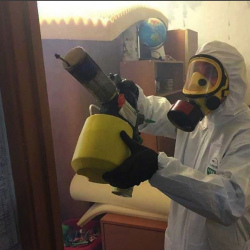 Уничтожение клопов в квартире. поселок дома отдыха Горки