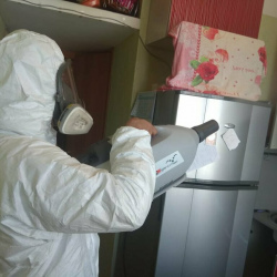 Уничтожение насекомых в квартире. поселок дома отдыха Горки